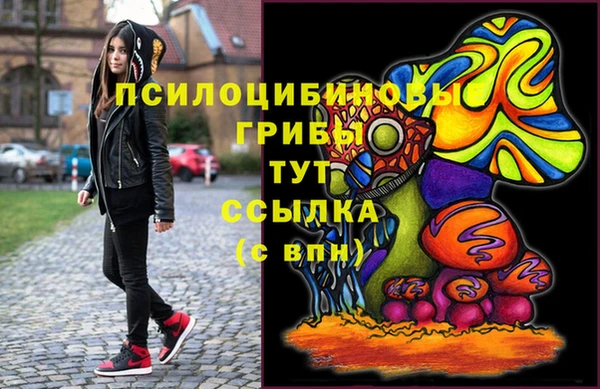 ешки Аркадак