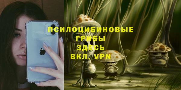 ешки Аркадак